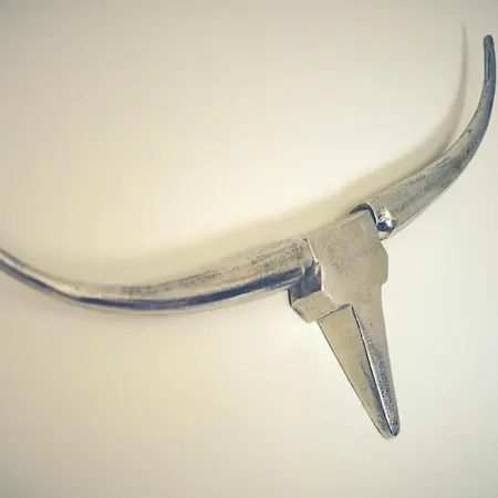 Haubarg Ossenhoff Haubarg Ossenhoff Buernhus *